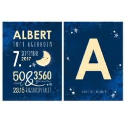 Blue Moon Navnetavle - Den Flotteste Navneplakat fra PRIK & STREG