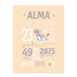 Minimalistisk Navneplakat med stjernetegn eller sky