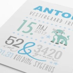 Navneplakat til dreng