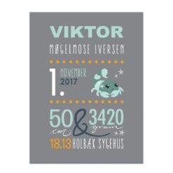 Navneplakater til dreng