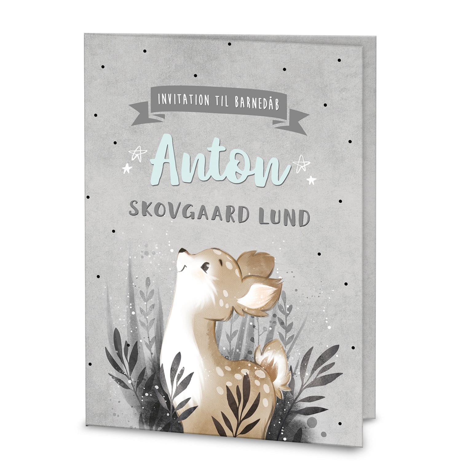 dåbsinvitation invitationer til barnedåb og navngivning dåbsinvitation invitationer til barnedåb og navngivning